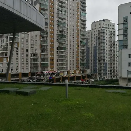 Koza